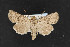  ( - CNC LEP00052988)  @11 [ ] Unspecified (default): All Rights Reserved  Unspecified Unspecified