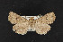  ( - CNC LEP00052989)  @11 [ ] Unspecified (default): All Rights Reserved  Unspecified Unspecified