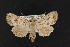  ( - CNC LEP00052990)  @11 [ ] Unspecified (default): All Rights Reserved  Unspecified Unspecified
