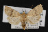  ( - CNC LEP00052991)  @13 [ ] Unspecified (default): All Rights Reserved  Unspecified Unspecified