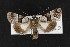  ( - CNC LEP00053000)  @13 [ ] Unspecified (default): All Rights Reserved  Unspecified Unspecified