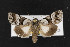  ( - CNC LEP00053001)  @14 [ ] Unspecified (default): All Rights Reserved  Unspecified Unspecified