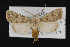  ( - CNC LEP00053003)  @14 [ ] Unspecified (default): All Rights Reserved  Unspecified Unspecified