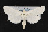  ( - CNC LEP00053015)  @14 [ ] Unspecified (default): All Rights Reserved  Unspecified Unspecified