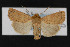  ( - CNC LEP00053031)  @11 [ ] Unspecified (default): All Rights Reserved  Unspecified Unspecified