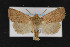  ( - CNC LEP00053032)  @11 [ ] Unspecified (default): All Rights Reserved  Unspecified Unspecified