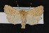  ( - CNC LEP00053033)  @11 [ ] Unspecified (default): All Rights Reserved  Unspecified Unspecified