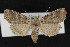  ( - CNC LEP00053057)  @12 [ ] Unspecified (default): All Rights Reserved  Unspecified Unspecified