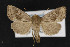  ( - CNC LEP00053075)  @14 [ ] Unspecified (default): All Rights Reserved  Unspecified Unspecified