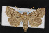  ( - CNC LEP00053076)  @14 [ ] Unspecified (default): All Rights Reserved  Unspecified Unspecified