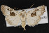  ( - CNC LEP00053088)  @14 [ ] Unspecified (default): All Rights Reserved  Unspecified Unspecified