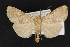  ( - CNC LEP00053089)  @13 [ ] Unspecified (default): All Rights Reserved  Unspecified Unspecified