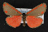  ( - CNC LEP00053091)  @14 [ ] Unspecified (default): All Rights Reserved  Unspecified Unspecified