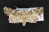  ( - CNC LEP00053111)  @13 [ ] Unspecified (default): All Rights Reserved  Unspecified Unspecified