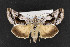  ( - CNC LEP00053131)  @13 [ ] Unspecified (default): All Rights Reserved  Unspecified Unspecified