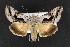  ( - CNC LEP00053132)  @13 [ ] Unspecified (default): All Rights Reserved  Unspecified Unspecified
