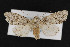  ( - CNC LEP00053137)  @11 [ ] Unspecified (default): All Rights Reserved  Unspecified Unspecified