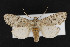  ( - CNC LEP00053138)  @14 [ ] Unspecified (default): All Rights Reserved  Unspecified Unspecified