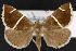  ( - CNC LEP00053148)  @12 [ ] Unspecified (default): All Rights Reserved  Unspecified Unspecified