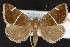  ( - CNC LEP00053149)  @13 [ ] Unspecified (default): All Rights Reserved  Unspecified Unspecified