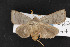  ( - CNC LEP00053154)  @12 [ ] Unspecified (default): All Rights Reserved  Unspecified Unspecified