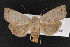  ( - CNC LEP00053155)  @14 [ ] Unspecified (default): All Rights Reserved  Unspecified Unspecified