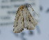  ( - NOC15043)  @12 [ ] Unspecified (default): All Rights Reserved  Unspecified Unspecified