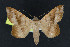  ( - NOC15058)  @14 [ ] Unspecified (default): All Rights Reserved  Unspecified Unspecified