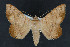  ( - NOC15059)  @14 [ ] Unspecified (default): All Rights Reserved  Unspecified Unspecified