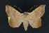  ( - NOC15060)  @14 [ ] Unspecified (default): All Rights Reserved  Unspecified Unspecified