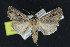  ( - NOC15064)  @14 [ ] Unspecified (default): All Rights Reserved  Unspecified Unspecified
