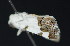  ( - NOC15084)  @13 [ ] Unspecified (default): All Rights Reserved  Unspecified Unspecified