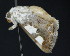 ( - NOC15085)  @13 [ ] Unspecified (default): All Rights Reserved  Unspecified Unspecified