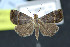  ( - NOC15093)  @13 [ ] Unspecified (default): All Rights Reserved  Unspecified Unspecified