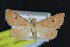  ( - NOC15098)  @13 [ ] Unspecified (default): All Rights Reserved  Unspecified Unspecified