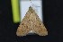  ( - NOC15103)  @13 [ ] Unspecified (default): All Rights Reserved  Unspecified Unspecified