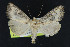 ( - NOC15124)  @13 [ ] Unspecified (default): All Rights Reserved  Unspecified Unspecified