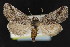  ( - NOC15140)  @14 [ ] Unspecified (default): All Rights Reserved  Unspecified Unspecified