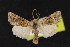  ( - NOC15148)  @14 [ ] Unspecified (default): All Rights Reserved  Unspecified Unspecified