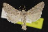  ( - NOC15152)  @14 [ ] Unspecified (default): All Rights Reserved  Unspecified Unspecified