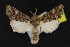  ( - NOC15156)  @14 [ ] Unspecified (default): All Rights Reserved  Unspecified Unspecified