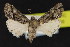  ( - NOC15158)  @14 [ ] Unspecified (default): All Rights Reserved  Unspecified Unspecified