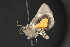  ( - NOC15174)  @12 [ ] Unspecified (default): All Rights Reserved  Unspecified Unspecified