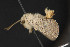  ( - NOC15175)  @12 [ ] Unspecified (default): All Rights Reserved  Unspecified Unspecified