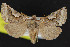  ( - NOC15191)  @14 [ ] Unspecified (default): All Rights Reserved  Unspecified Unspecified