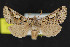  ( - NOC15193)  @13 [ ] Unspecified (default): All Rights Reserved  Unspecified Unspecified