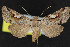  ( - NOC15203)  @13 [ ] Unspecified (default): All Rights Reserved  Unspecified Unspecified