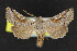  ( - NOC15204)  @14 [ ] Unspecified (default): All Rights Reserved  Unspecified Unspecified
