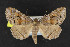  ( - NOC15206)  @13 [ ] Unspecified (default): All Rights Reserved  Unspecified Unspecified