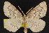  ( - NOC15216)  @13 [ ] Unspecified (default): All Rights Reserved  Unspecified Unspecified